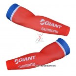 2015 Gaint Manchettes Ciclismo Rouge