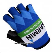 2015 Garmin Gants Ete Ciclismo Bleu