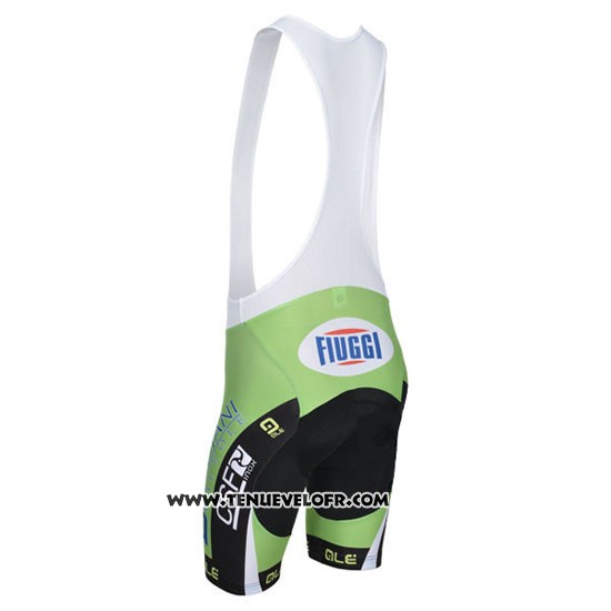 2014 Maillot Ciclismo Bardiani Blanc et Vert Manches Courtes et Cuissard