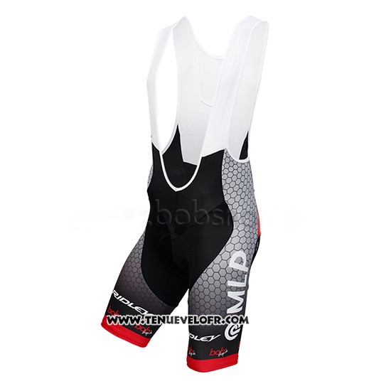 2013 Maillot Ciclismo Mlp Team Bergstrasse Gris Manches Courtes et Cuissard