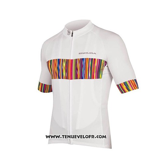 2018 Maillot Ciclismo Endura Graphics Pinstripe Blanc Manches Courtes et Cuissard