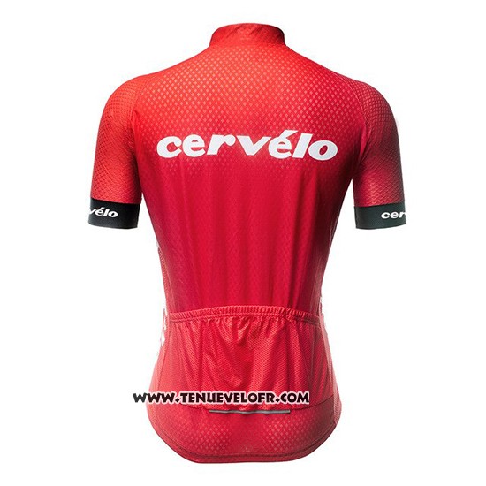 2019 Maillot Ciclismo Cervelo Rouge Manches Courtes et Cuissard
