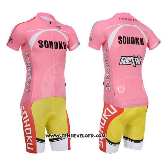 2014 Maillot Ciclismo Fox Cyclingbox Fuchsia Manches Courtes et Cuissard