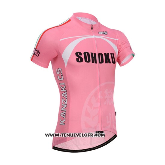2014 Maillot Ciclismo Fox Cyclingbox Fuchsia Manches Courtes et Cuissard