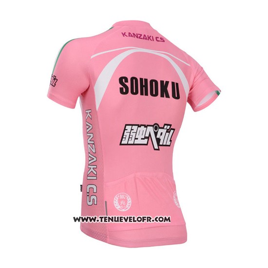 2014 Maillot Ciclismo Fox Cyclingbox Fuchsia Manches Courtes et Cuissard