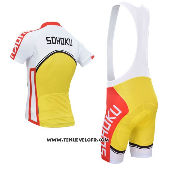 2014 Maillot Ciclismo Fox Cyclingbox Jaune et Rouge Manches Courtes et Cuissard
