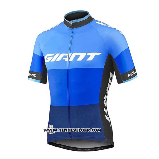 2018 Maillot Ciclismo Giant Elevate Bleu Manches Courtes et Cuissard