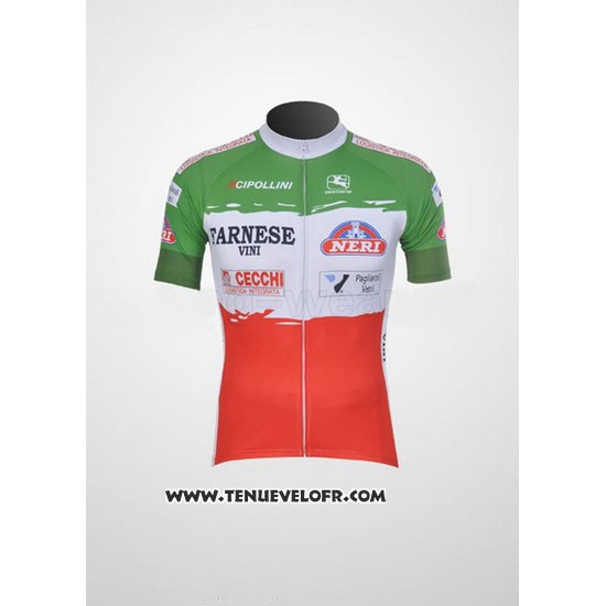 2011 Maillot Ciclismo Giordana Rouge et Vert Manches Courtes et Cuissard