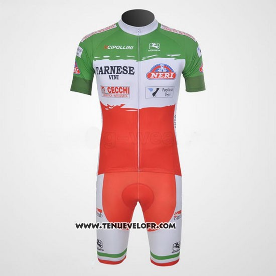 2011 Maillot Ciclismo Giordana Rouge et Vert Manches Courtes et Cuissard